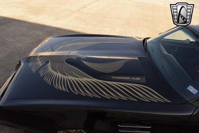 Photo of 1981 Black Pontiac Firebird