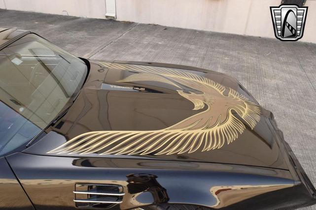 Photo of 1981 Black Pontiac Firebird