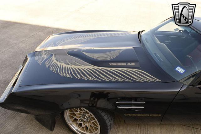 Photo of 1981 Black Pontiac Firebird