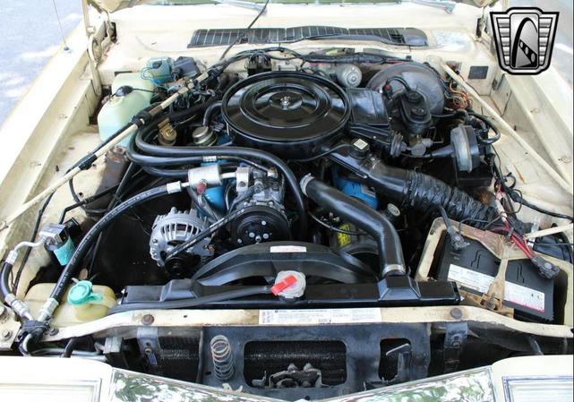 Photo of 1981 Beige Chrysler LeBaron