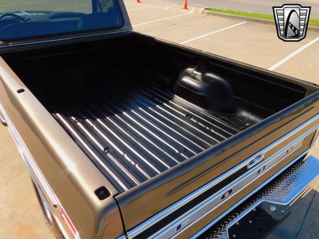 Photo of 1979 Bronze Ford F-150