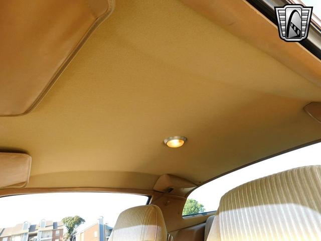 Photo of 1981 Brown Pontiac Firebird