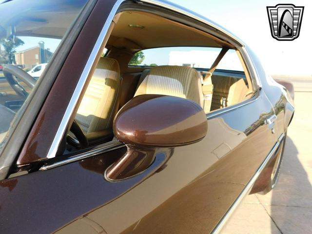 Photo of 1981 Brown Pontiac Firebird