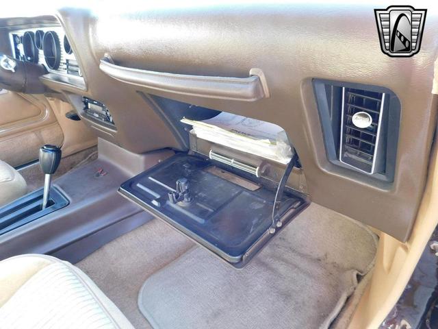 Photo of 1981 Brown Pontiac Firebird