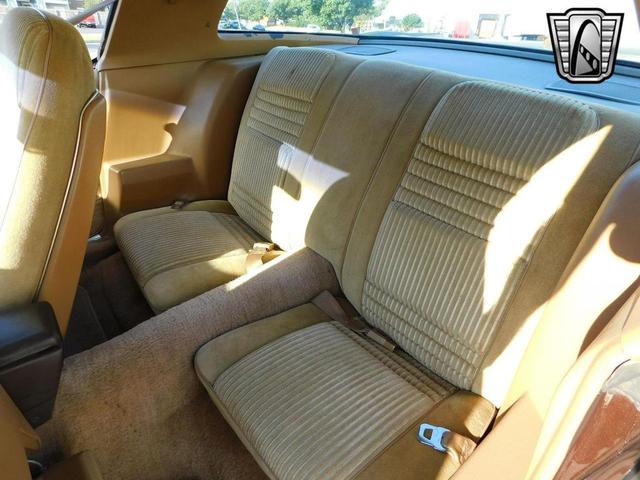 Photo of 1981 Brown Pontiac Firebird