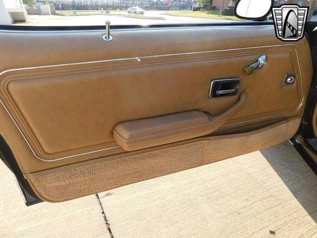 Photo of 1981 Brown Pontiac Firebird