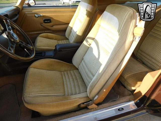 Photo of 1981 Brown Pontiac Firebird