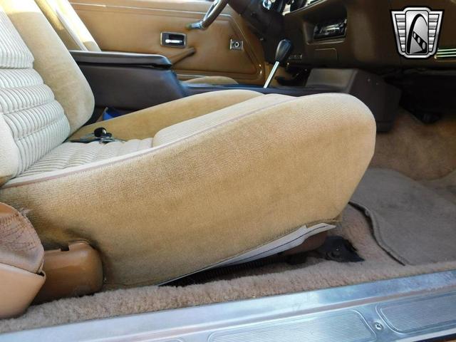 Photo of 1981 Brown Pontiac Firebird