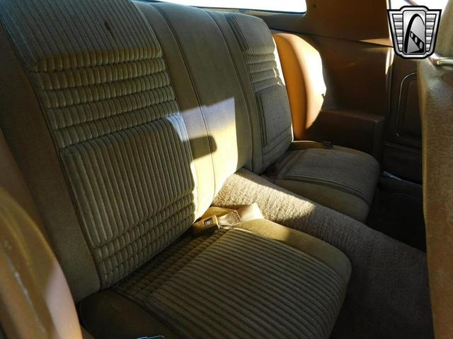 Photo of 1981 Brown Pontiac Firebird