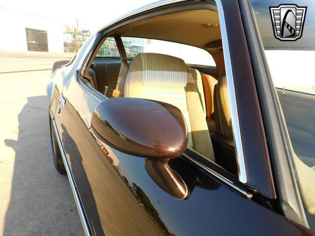 Photo of 1981 Brown Pontiac Firebird
