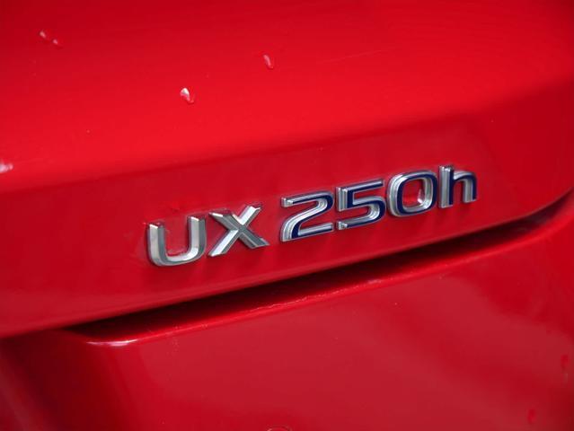 Photo of 2021 Redline Lexus UX 250h