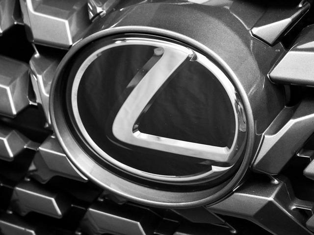 Photo of 2023 Nebula Gray Pearl Lexus GX 460