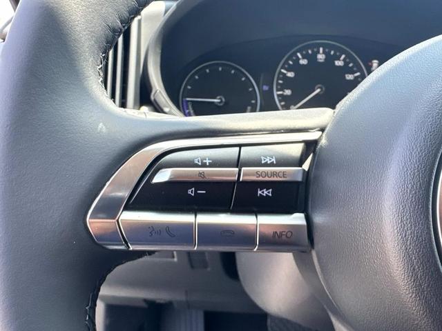 Photo of 2025 POLYMETAL GRY M Mazda CX-50 Hybrid