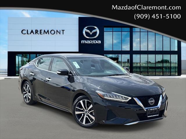 2023 Nissan Maxima