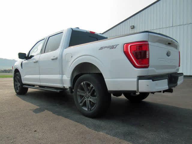 Photo of 2023 Oxford White Ford F-150