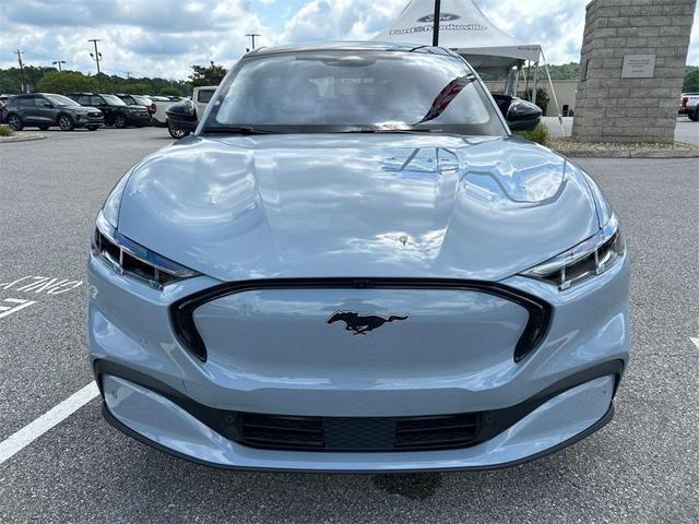 Photo of 2025 Glacier Gray Metallic TriCoat Ford Mustang Mach-E