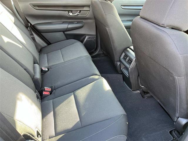Photo of 2024 Still Night Pea Honda CR-V