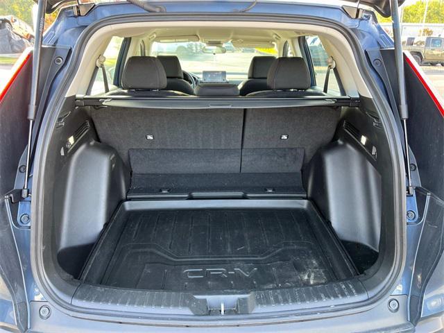 Photo of 2024 Still Night Pea Honda CR-V