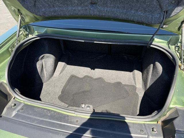 Photo of 2020 F8 Green Dodge Challenger