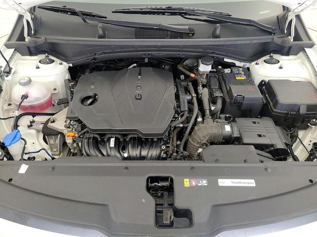 Photo of 2023 White Kia Sportage