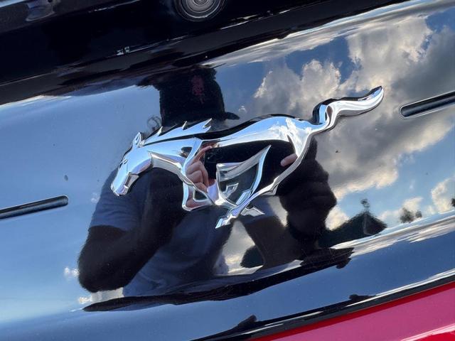 Photo of 2022 Maroon Ford Mustang