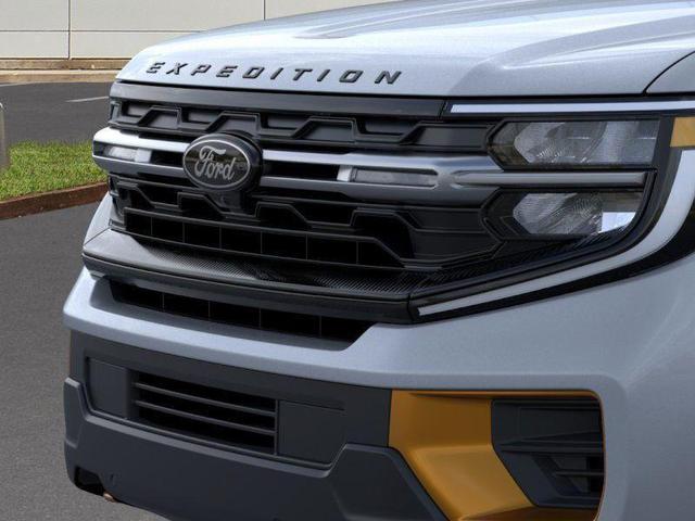 Photo of 2025 Gray Ford Expedition