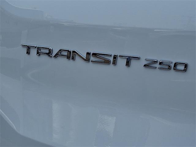 Photo of 2020 Oxford White Ford Transit-250