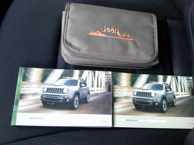 Photo of 2018 Anvil Jeep Renegade