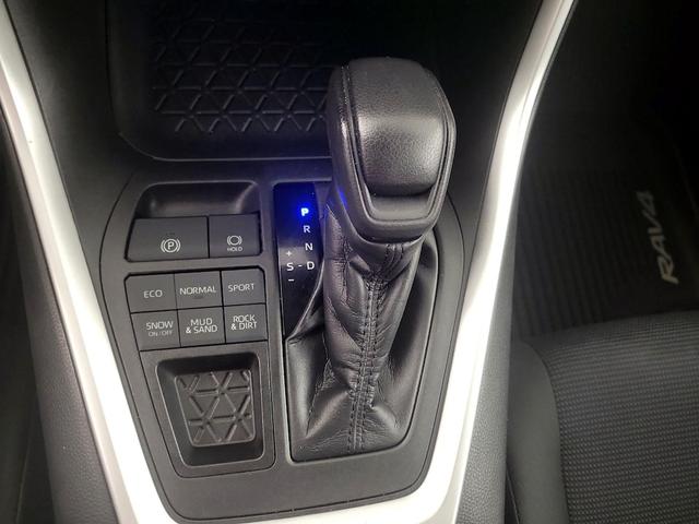 Photo of 2019 Gray Toyota RAV4