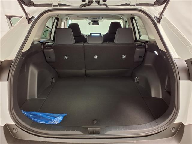 Photo of 2025 Ice Cap Toyota RAV4