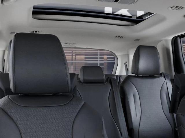 Photo of 2025 Panthera Metal Kia Carnival Hybrid