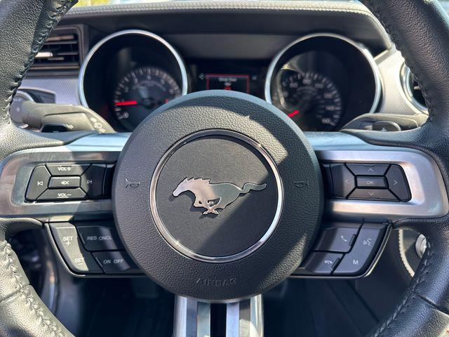 Photo of 2019 Magnetic Ford Mustang