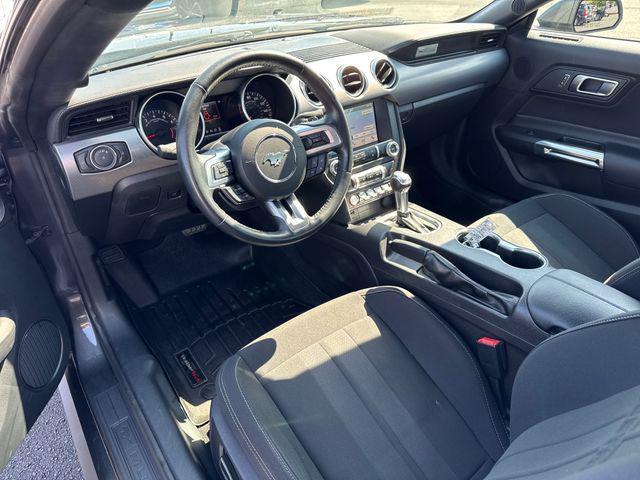 Photo of 2019 Magnetic Ford Mustang
