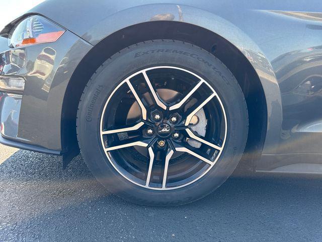 Photo of 2019 Magnetic Ford Mustang