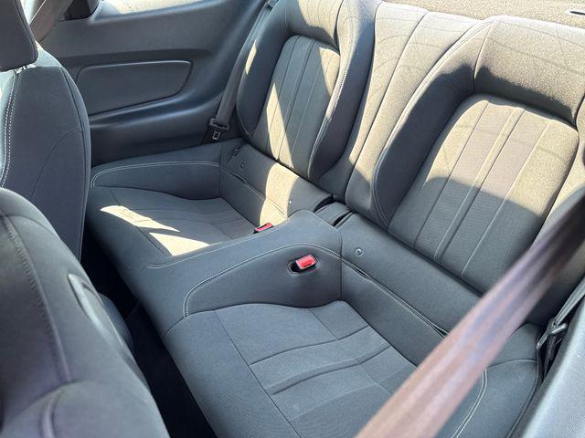 Photo of 2019 Magnetic Ford Mustang