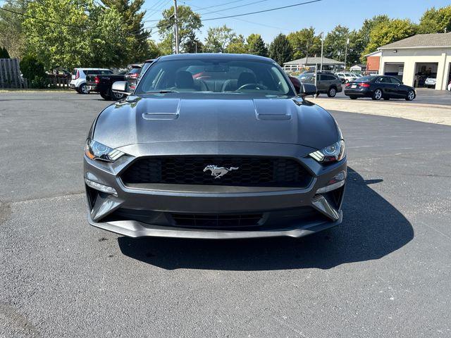 Photo of 2019 Magnetic Ford Mustang