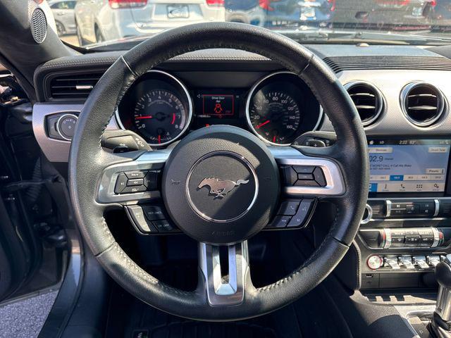 Photo of 2019 Magnetic Ford Mustang