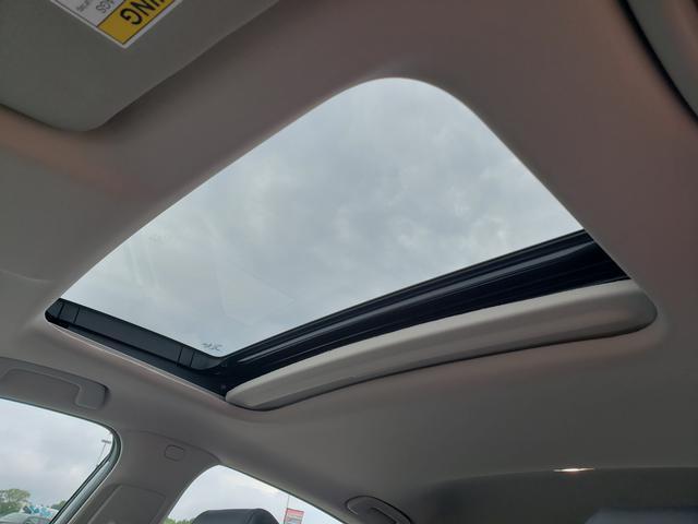 Photo of 2024 Platinum White Pearl Honda Civic