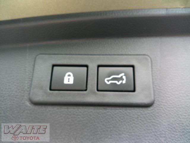 Photo of 2025 Autumn Green Metallic Subaru Outback