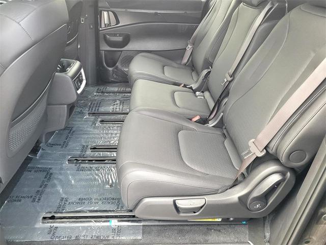 Photo of 2025 Metal Kia Carnival Hybrid