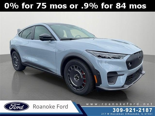 Photo of 2025 Glacier Gray Metallic Ford Mustang Mach-E