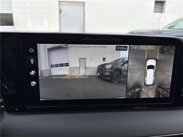 Photo of 2025 Abyss Black Pearl Hyundai PALISADE