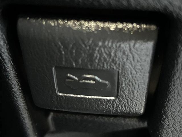 Photo of 2023 Ice Cap Toyota 4Runner