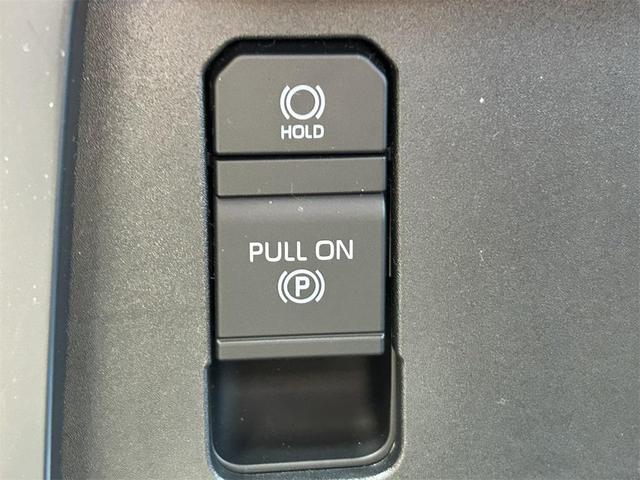 Photo of 2024 Terra Toyota Tundra Hybrid