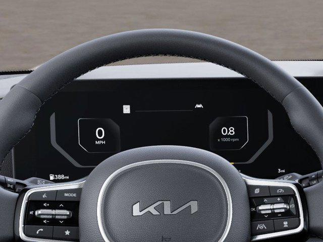 Photo of 2026 Panthera Metal Kia Carnival