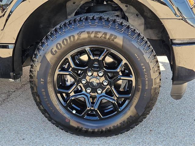 Photo of 2025 Black Metallic Ford F-150