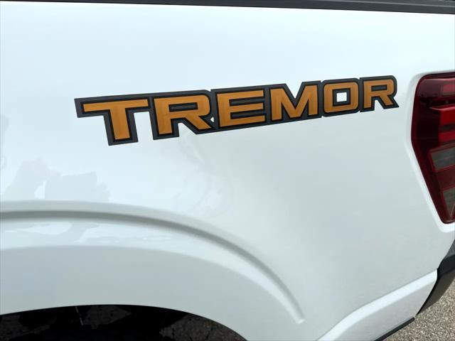 Photo of 2025 White Ford F-150