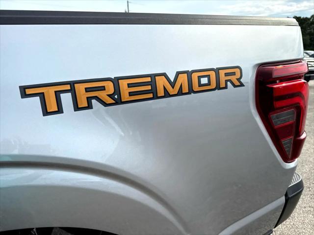 Photo of 2025 Iconic Silver Metallic Ford F-150