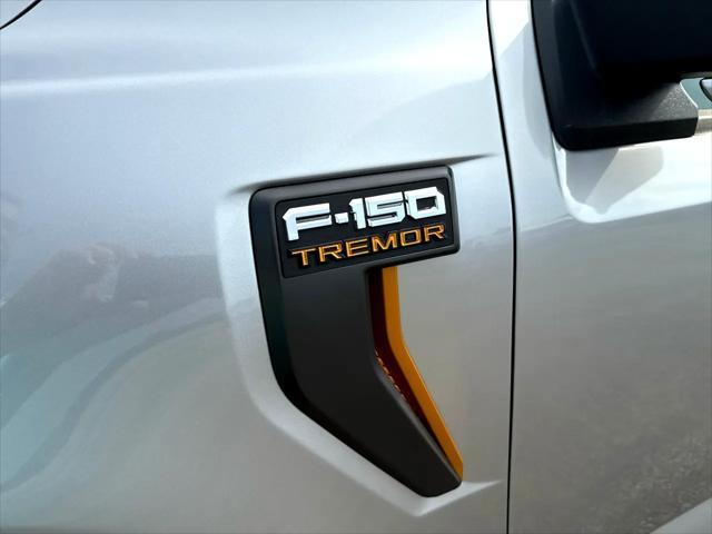 Photo of 2025 Iconic Silver Metallic Ford F-150