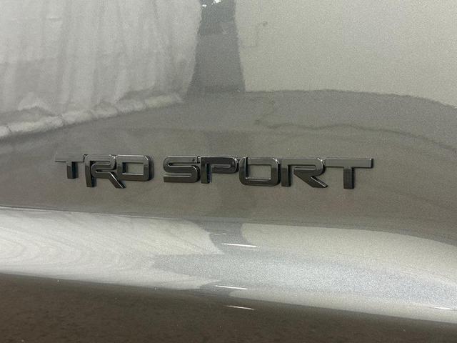 Photo of 2019 Gray Toyota Sequoia